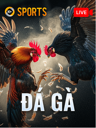 ONE88 Đá Gà K-Sports